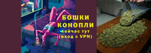 гидра Верея