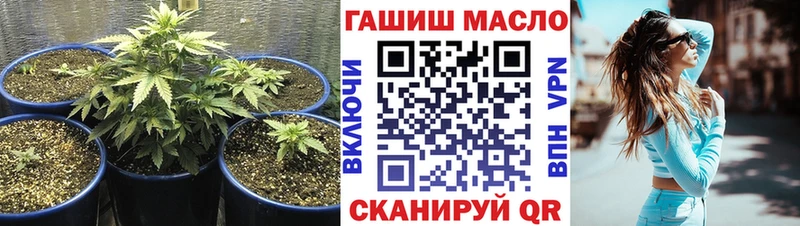 Купить закладки  Новосиль  Дистиллят ТГК Wax 