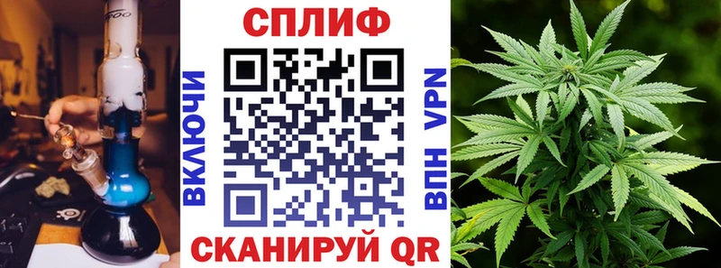 Купить  Новосиль  Конопля конопля 